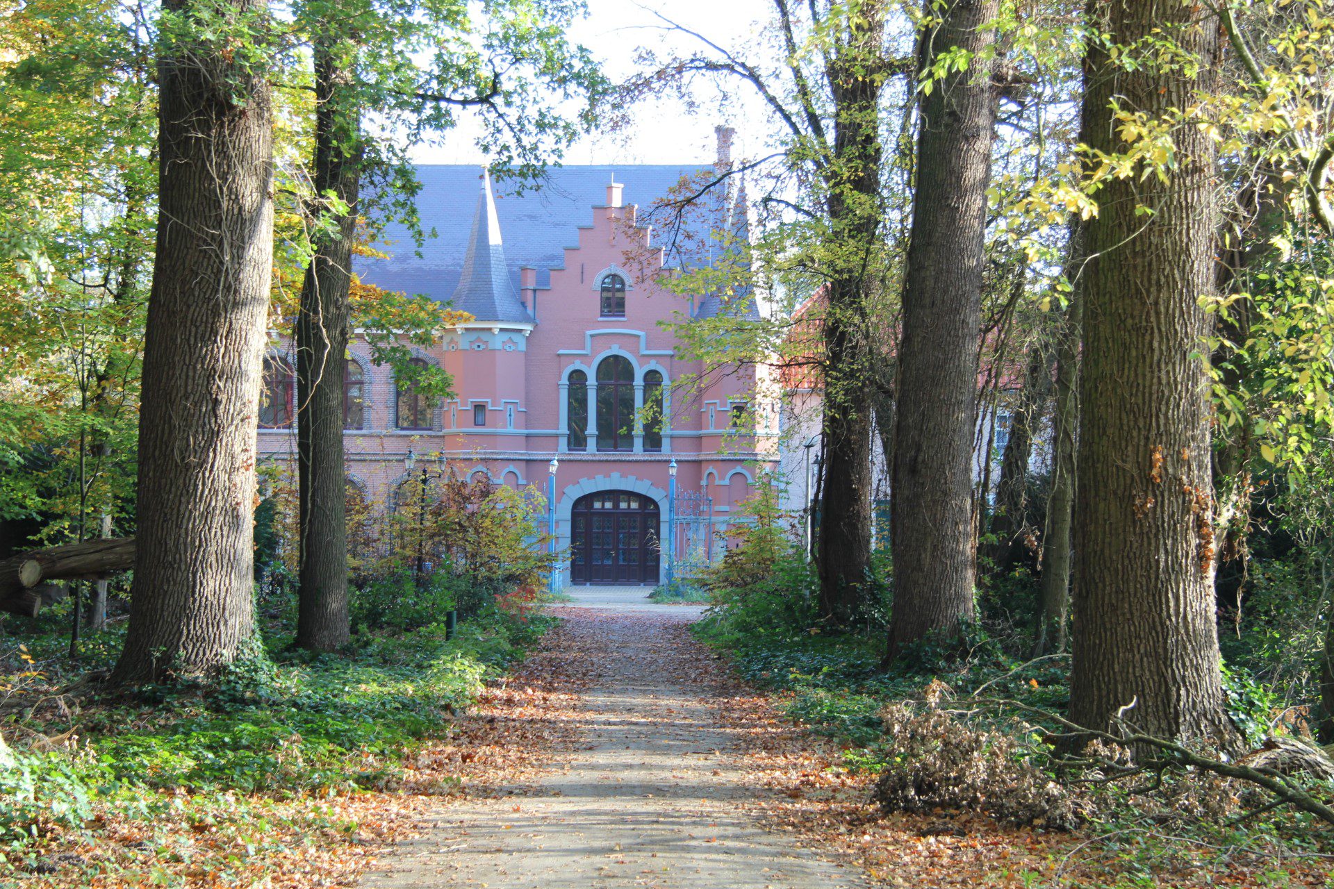 Kasteel d'Oultremont op Landgoed Steenenburg (voorheen het roze kasteel van het Land van Ooit)